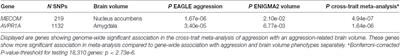 Pleiotropic Contribution of MECOM and AVPR1A to Aggression and Subcortical Brain Volumes